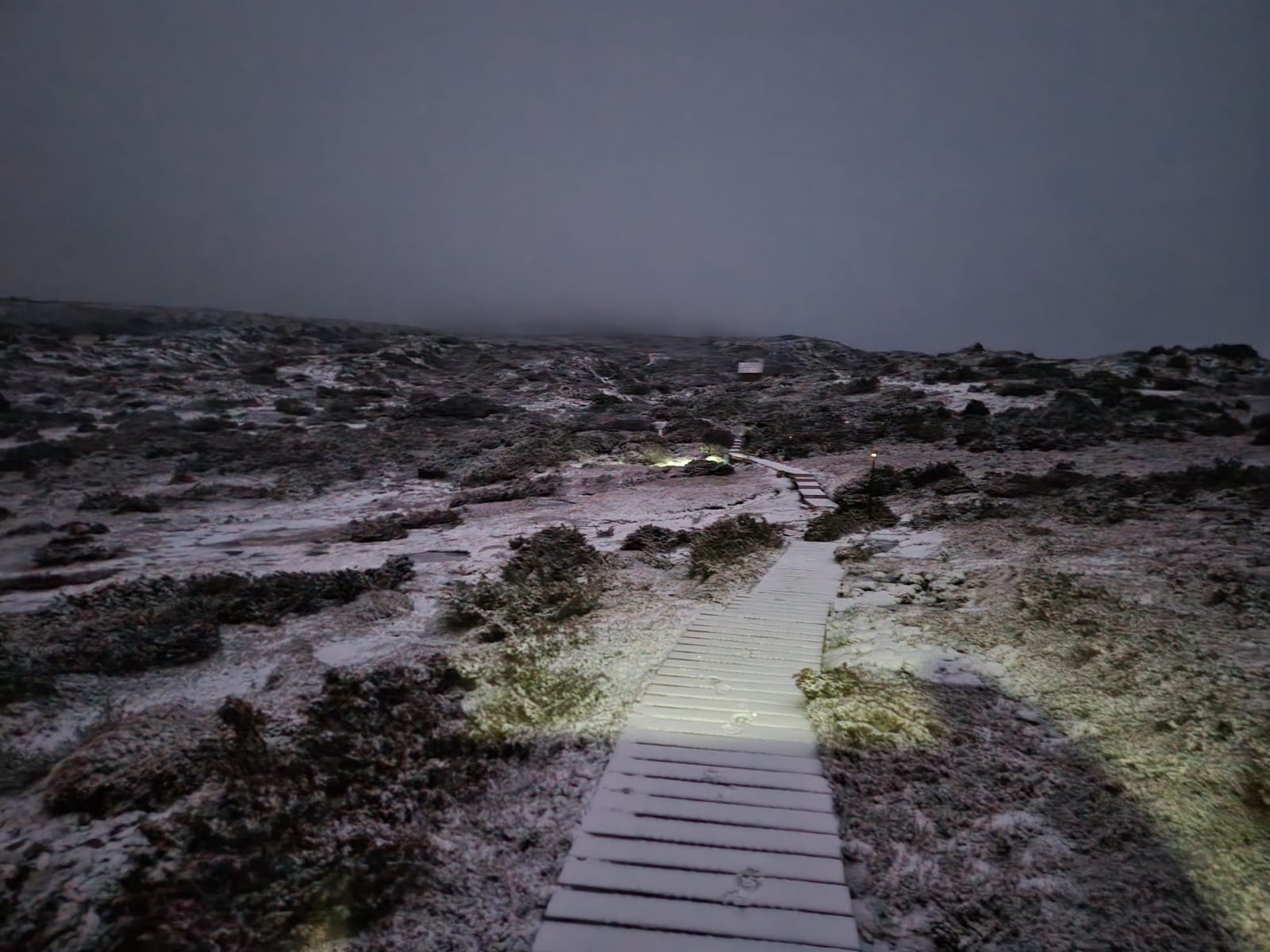 Overland Track – in a day